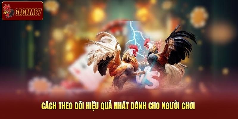 Cách theo dõi hiệu quả nhất dành cho người chơi 