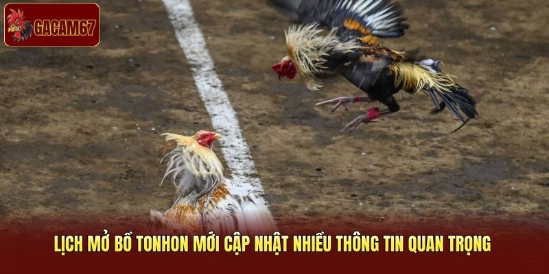 Lịch mở bồ Tonhon mới cập nhật nhiều thông tin quan trọng 