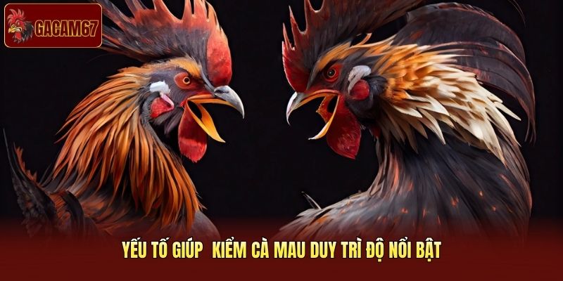 Yếu tố giúp trận gà gây bão cộng đồng mạng liên tục phủ sóng