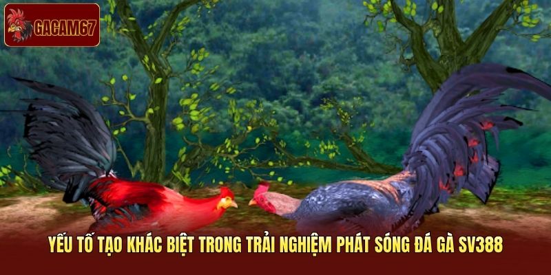 Yếu tố tạo khác biệt trong trải nghiệm phát sóng đá gà SV388